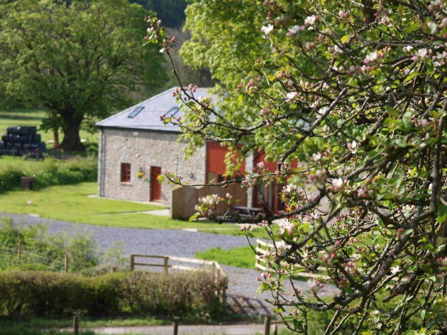 Peregrine Stable Cottage Llandovery Luaran gambar